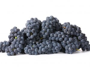 Калорийность черного винограда