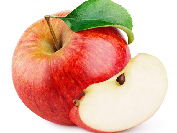 Описание яблони Толунай