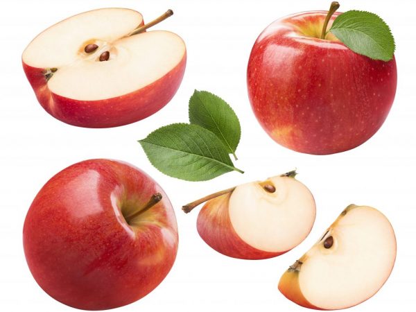Профилактика для яблони просто необходима