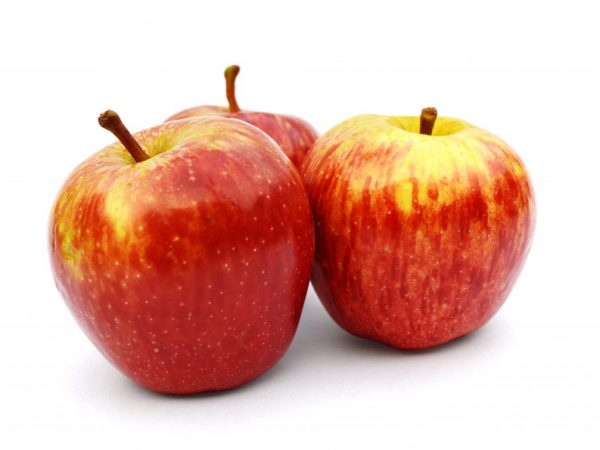 Сортовая характеристика яблони Пинова