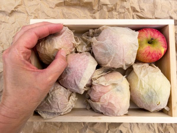 хранение яблок в пищевой пленке