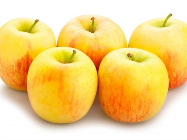 Сколько калорий содержится в яблоке
