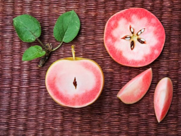 Популярные методы сушки яблок