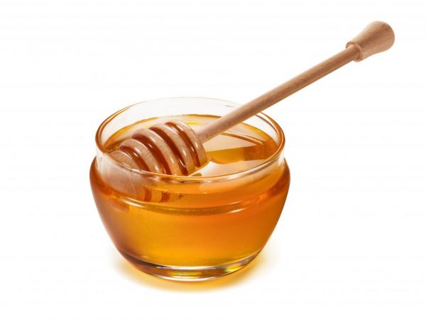Мед с Молочая — польза и вред, как отличить подделку